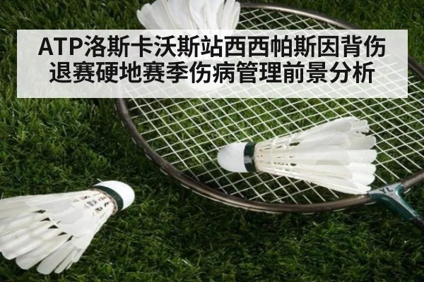 ATP洛斯卡沃斯站西西帕斯因背伤退赛硬地赛季伤病管理前景分析