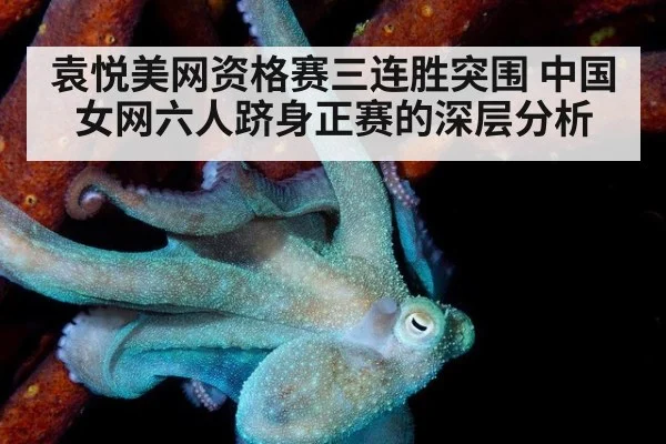袁悦美网资格赛三连胜突围 中国女网六人跻身正赛的深层分析